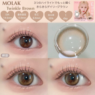 MOLAK 1day Twinkle Brown モラク ワンデー トゥインクルブラウン